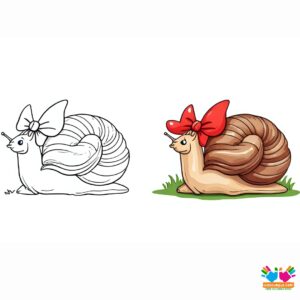 A bow on a snail’s shell.