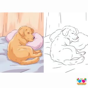 A dog sleeping curled up at the foot of a bed.