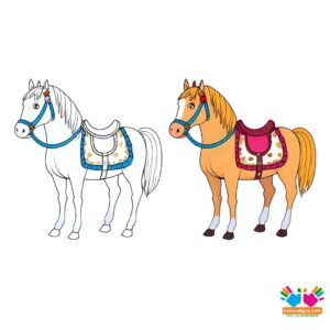 Saddle with ropes, blanket, and accessories.