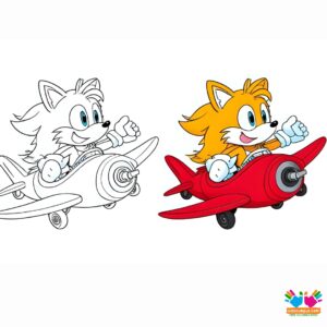 Tails in a flying plane he built himself.