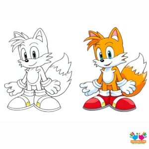 Tails sitting with his tails curled around him.