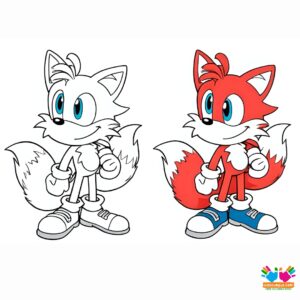 Tails with a blueprint of a new invention.