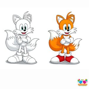 Tails with his arms crossed and grinning.